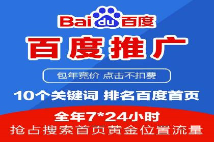 百度竞价排名策略解析：一家公司的广告投放策略全揭秘